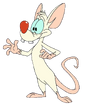 Pinky (1ª voz) em Os Animaniacs