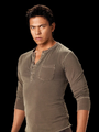 Sam Uley na saga de filmes Crepúsculo