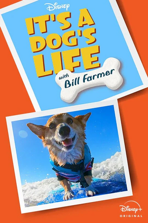 DogsLifeWithBillFarmer.jpg