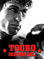 Touro Indomável