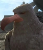 Águia Negra em Khumba: Um Safári na África