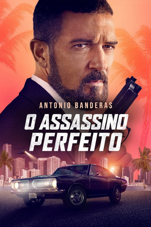 O Assassino Perfeito.jpeg