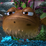 Bolota em Procurando Nemo e Procurando Dory