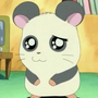Panda em Hamtaro
