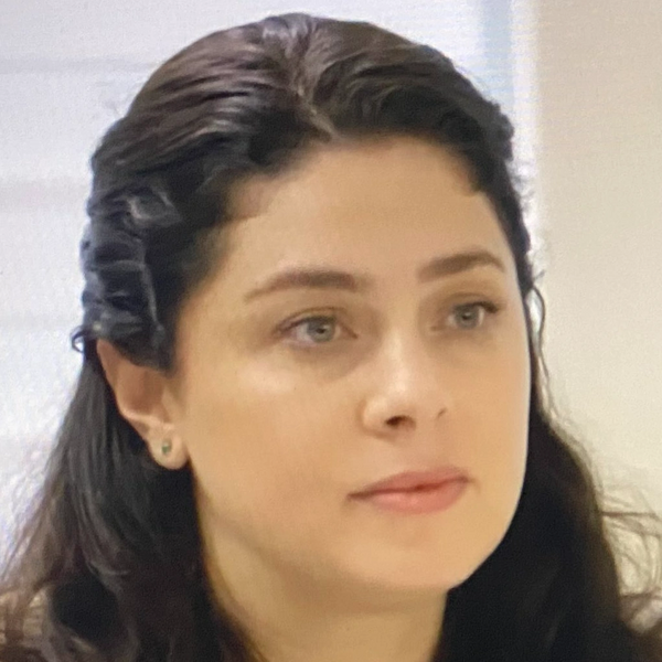 Arquivo:IVANA (PDA).png