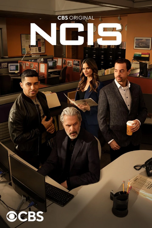 NCIS - Investigação Naval.jpg