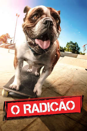 O Radicão.jpg