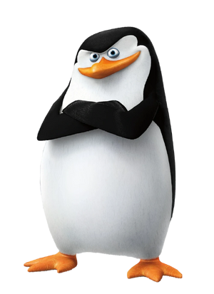 Skipper03.png