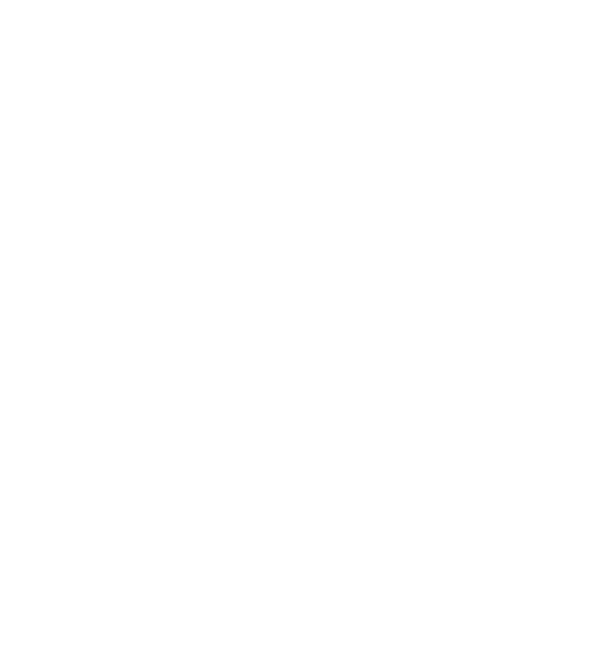 Arquivo:Operação Big Hero Logo.png