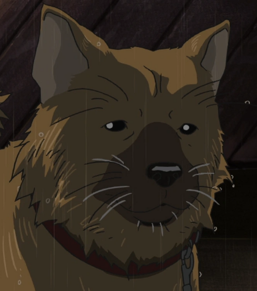 Arquivo:Ossan (Coo).png