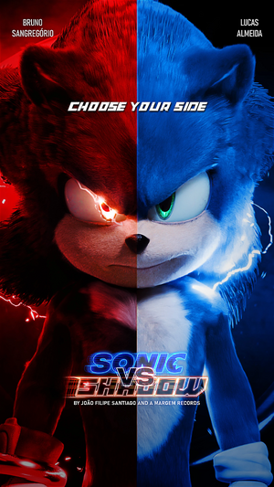 Sonic vs Shadow.jpg