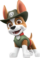 Tracker em Patrulha Canina