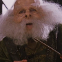 Fílio Flitwick em Harry Potter e a Pedra Filosofal e Harry Potter e a Câmara Secreta