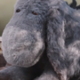 Ió em Christopher Robin: Um Reencontro Inesquecível, WiFi Ralph: Quebrando a Internet e Era Uma Vez um Estúdio