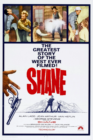 Shane.png