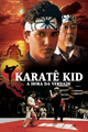 Karatê Kid: A Hora da Verdade e Karatê Kid 2 - A Hora da Verdade Continua (Redublagens)