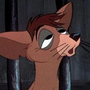 Pedro em A Dama e o Vagabundo (The Walt Disney Studios)