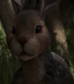 Miniatura da versão das 07h28min de 9 de agosto de 2026