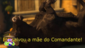 Ele salvou a mãe do Comandante!