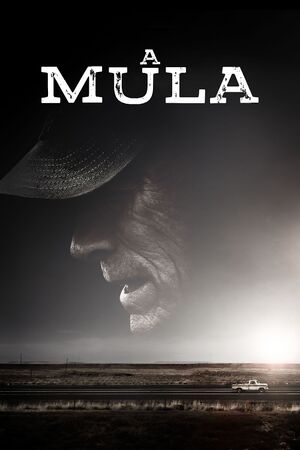 A Mula.jpg