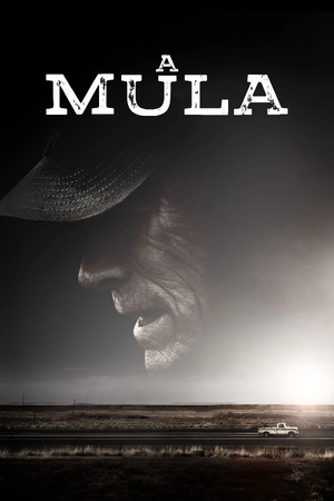 A Mula.jpg