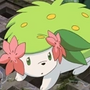 Shaymin em Pokemon: O Filme 11 - Giratina e o Cavaleiro do Céu