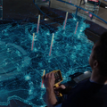 Miniatura da versão das 03h39min de 9 de agosto de 2026