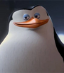 Capitão de Madagascar 2 em diante