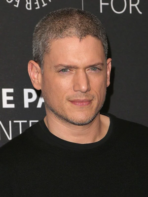 Wentworth Miller.webp