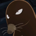 Miniatura da versão das 02h45min de 9 de agosto de 2026