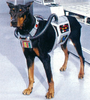 Springer (2ª voz; eps. 5-6 e 9) em Metalder, o Homem Máquina