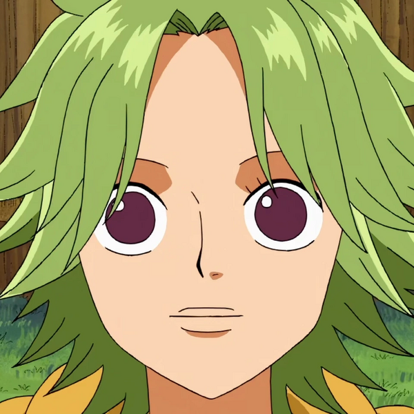 Arquivo:One Piece Camie.png