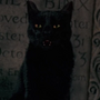 Thackery Binx em Abracadabra (Delart)