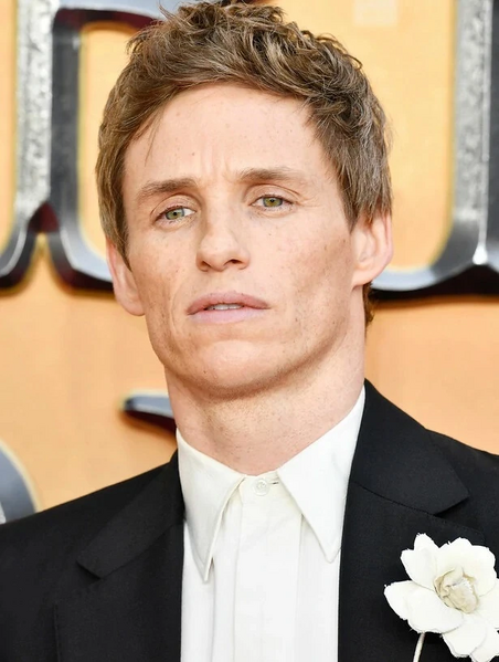 Arquivo:Eddie Redmayne.jpg