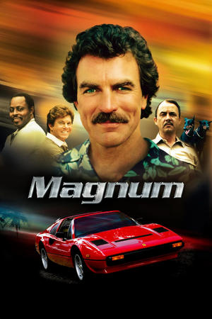 Magnumserie.png