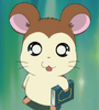 Aurélio em Hamtaro