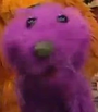 Pop em O Urso na Casa Azul
