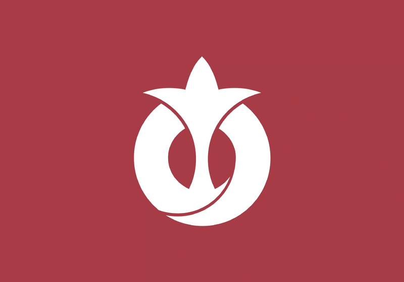 Arquivo:Aichi.png