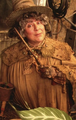 Professora Pomona Sprout em Harry Potter e a Câmara Secreta