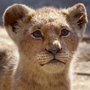 Simba (filhote) no live-action de O Rei Leão