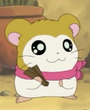 Pashmina em Hamtaro