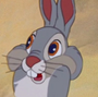 Tambor (adulto) em Bambi (Rivaton)