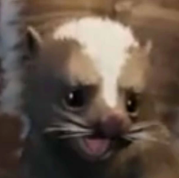 Arquivo:Baby Skunk (The Wild Robot).jpg