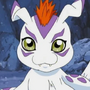 Gomamon e evoluções em Digimon Adventure, Digimon Adventure 02 e Digimon: O Filme