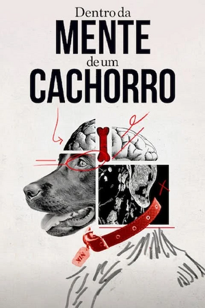 Dentro da Mente de um Cachorro.jpg