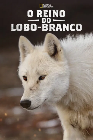O Reino do Lobo-Branco.webp