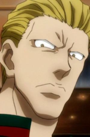 Phinks Magcub.png