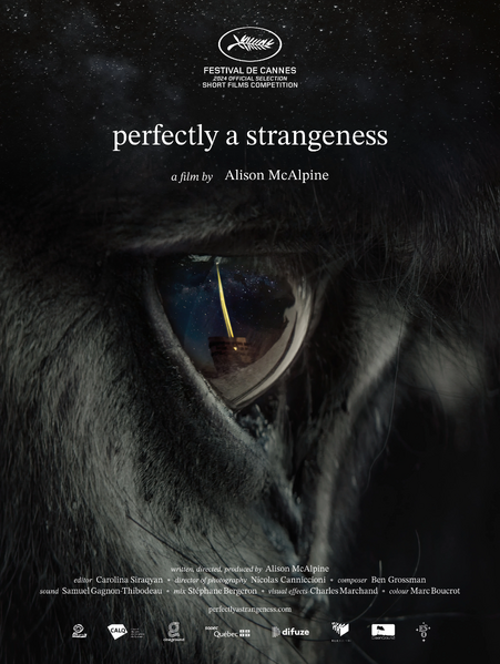 Arquivo:Perfectly A Strangeness - Poster.jpg