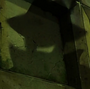 Sr. Sombra em Yobi, a Raposa de Cinco Caudas