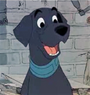 Labrador em 101 Dálmatas